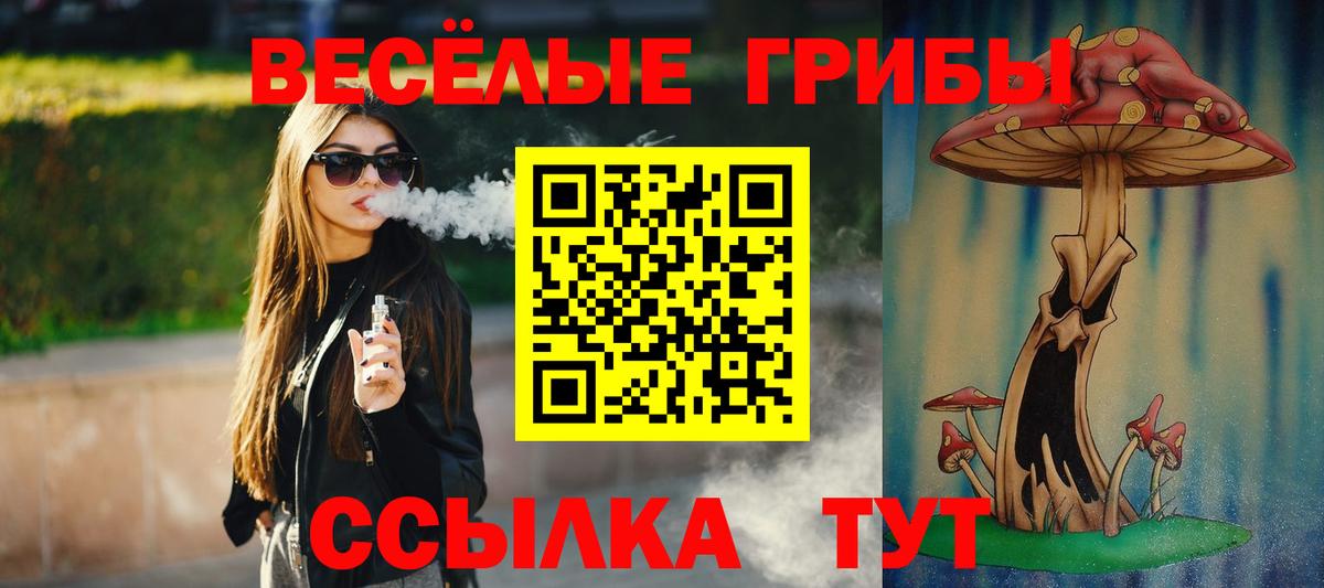 Псилоцибиновые грибы Psilocybe Благодарный